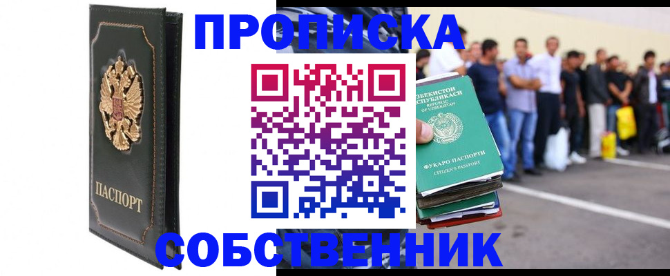 прописка поиск в Дубне